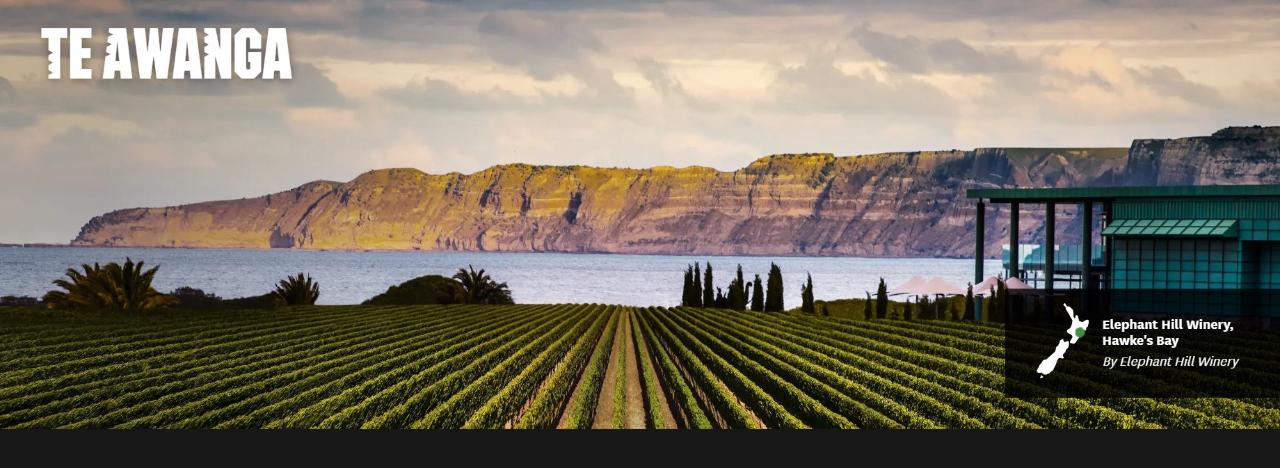 Grapes and Gears - "Tour De Wine Hawkes Bay"