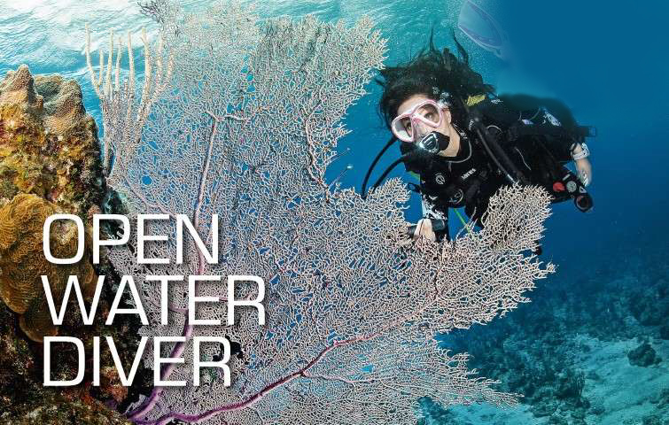 Hall's Complete Open Water Scuba Certification Course