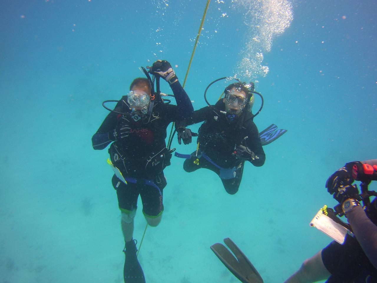 Open Water Check Out Dives