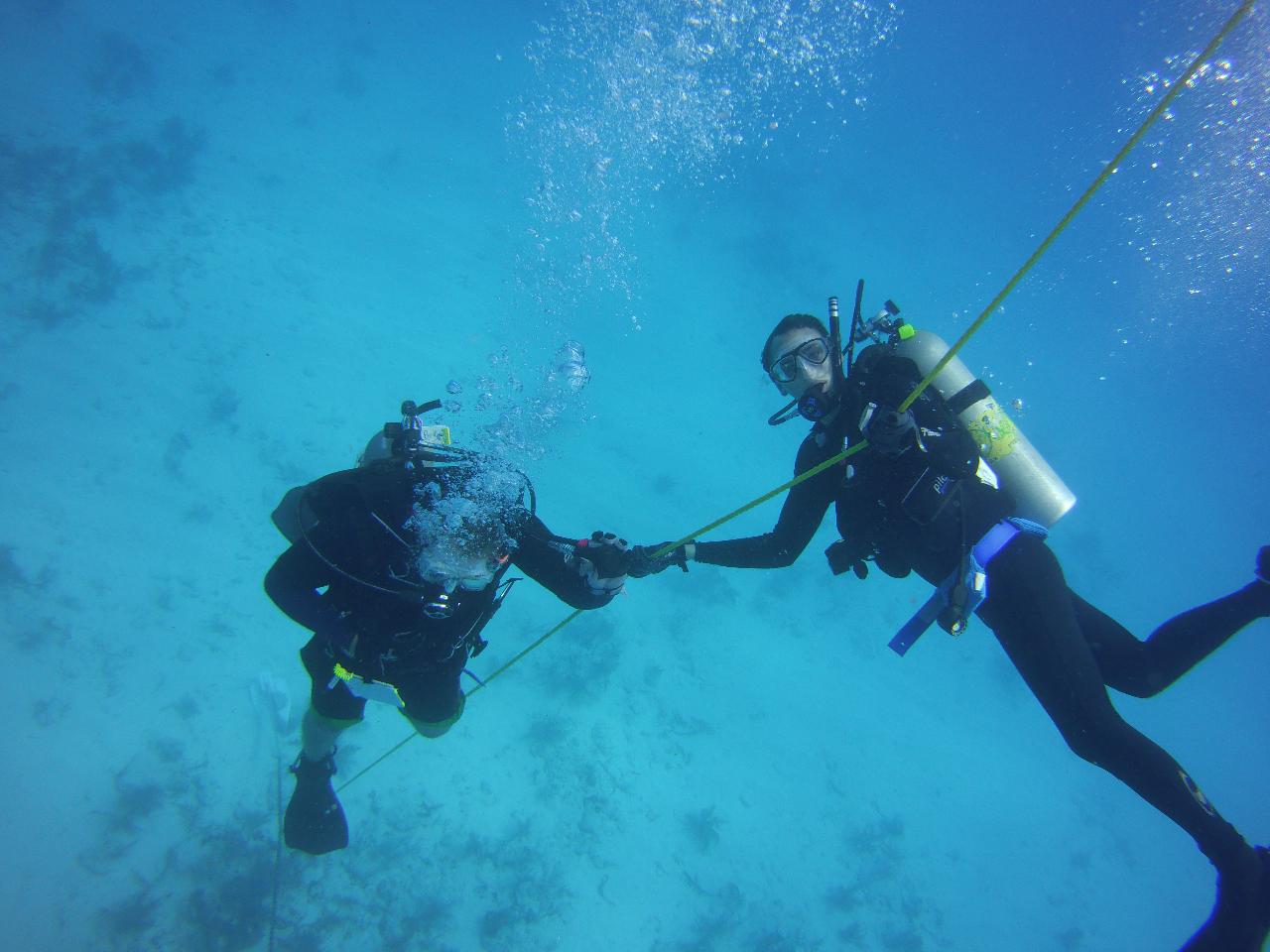 Refresher Scuba Course with INSTRUCTOR Hall's Diving Center & Career