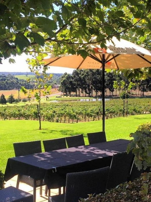 Premium wine tour