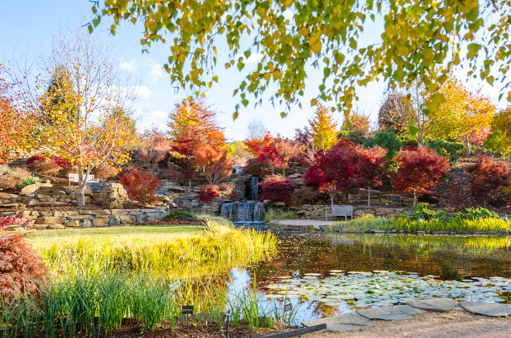 Mayfield Autumn Festival - See 65 hectares including the Mayfield Maze