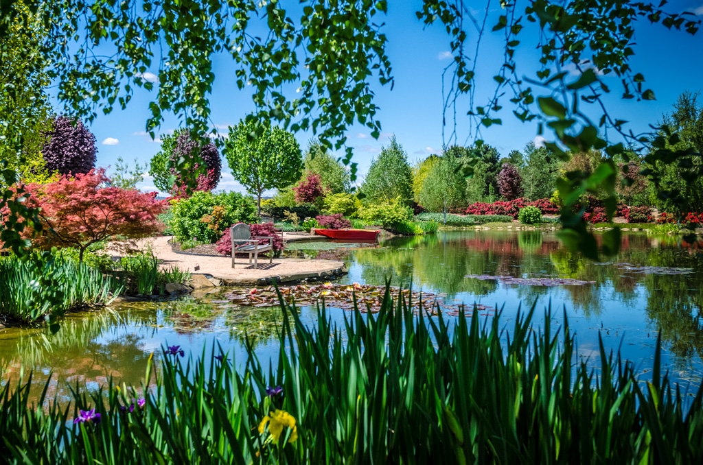 Mayfield Summer Festival - See 31 hectares including the Rose Garden