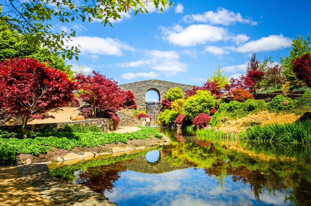 Mayfield Garden Entry - See 16 hectares, open daily