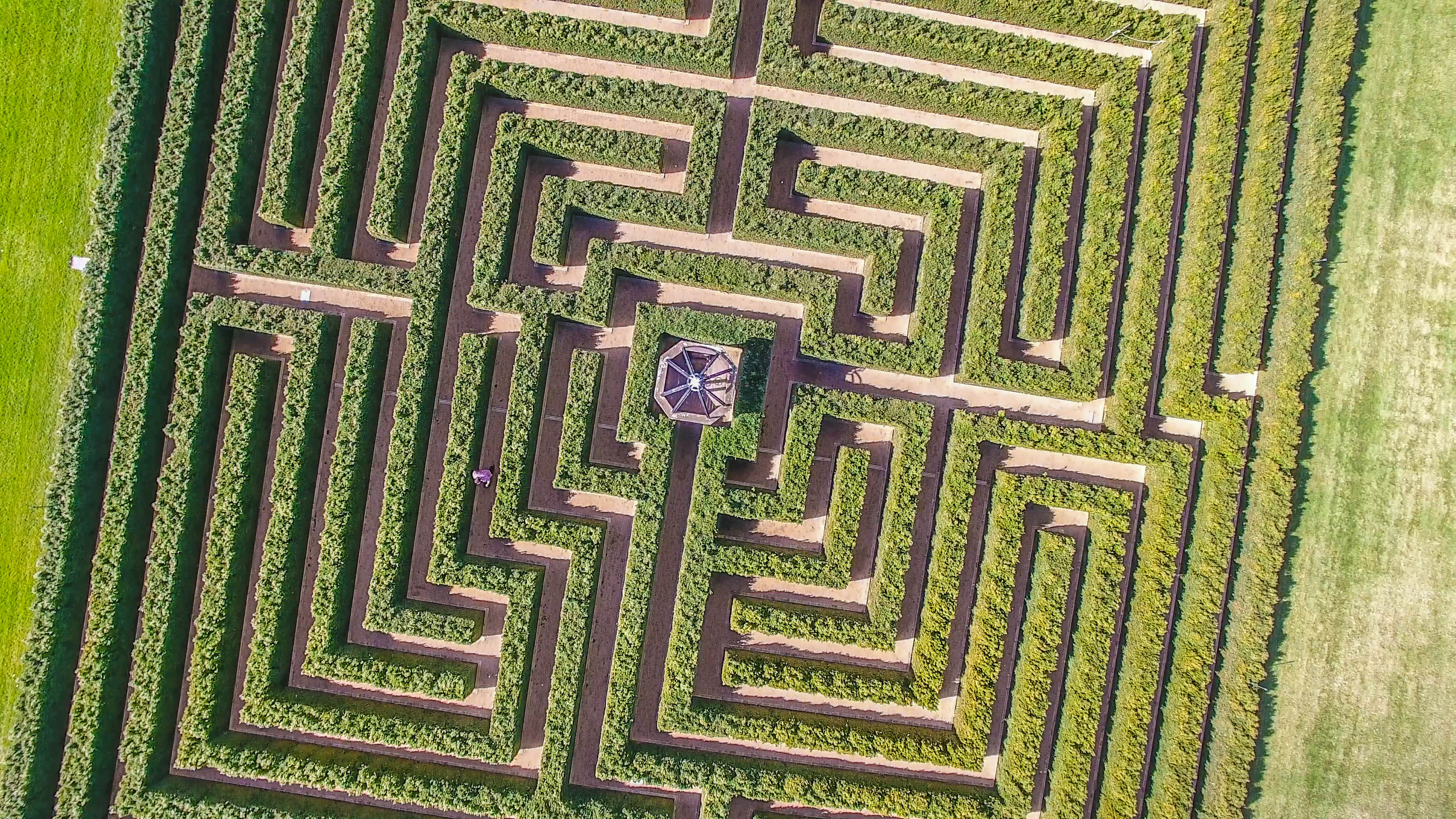 Mayfield Spring Festival - See 75 hectares including the Mayfield Maze - Group