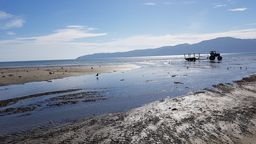 On water tour Kapiti Marine Reserve and Kapiti Island combo