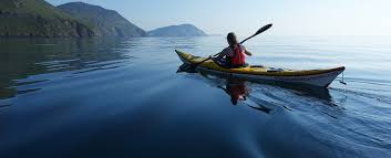 Wellington Day Trip Sea Kayaking Kapiti Island book now for Jan 2020   