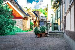 Oslo & Norsk Folkmuseum Private Driving Tour