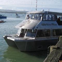 Scenic Lunchtime Harbour Cruise with Option to add fish and chips for your Lunch.