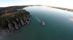 Morning Scenic Harbour Cruise