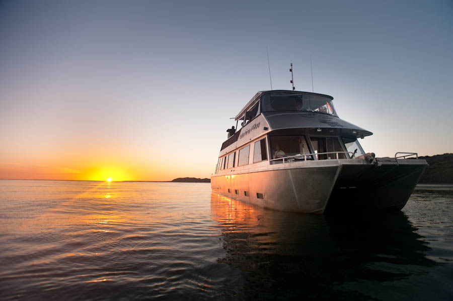 Sunset Cruise Only - Last Min Booking (No Fish and Chips Available)