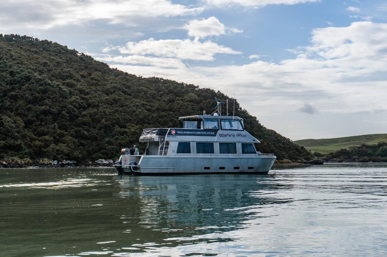 Lunchtime Cruise to the Narrows (Special cruise 12th of Feb 2024