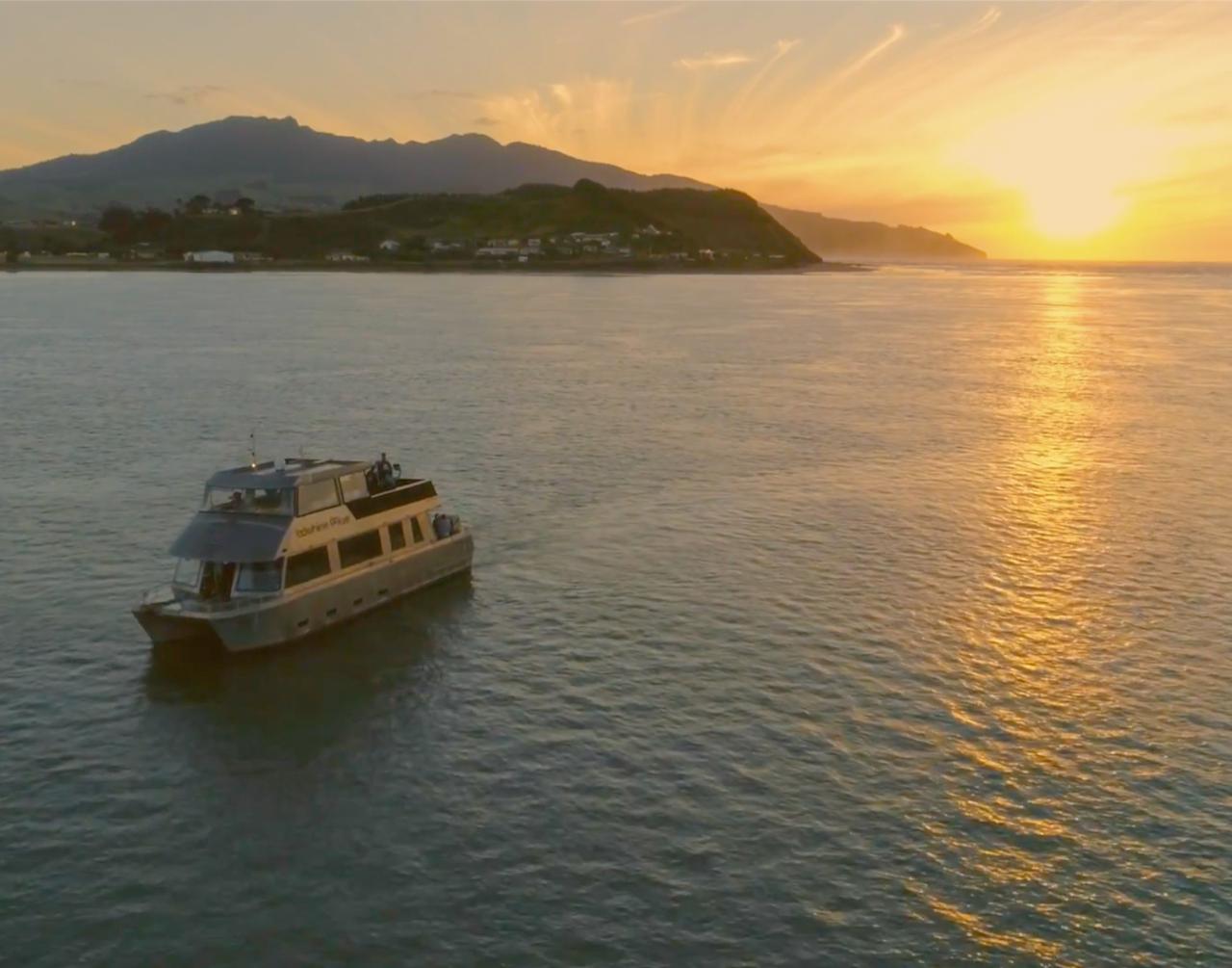 Sunset Cruise Including Fish n Chips