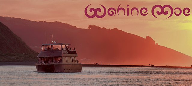 Gift Card - Sunset Cruise + Fish & Chips