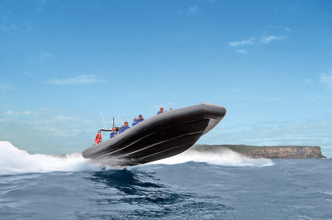 Private Bondi Bash Thrill Ride