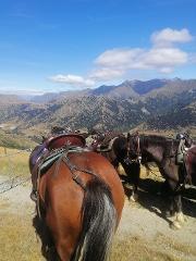 Ben Lomond Historic Gold Trail 