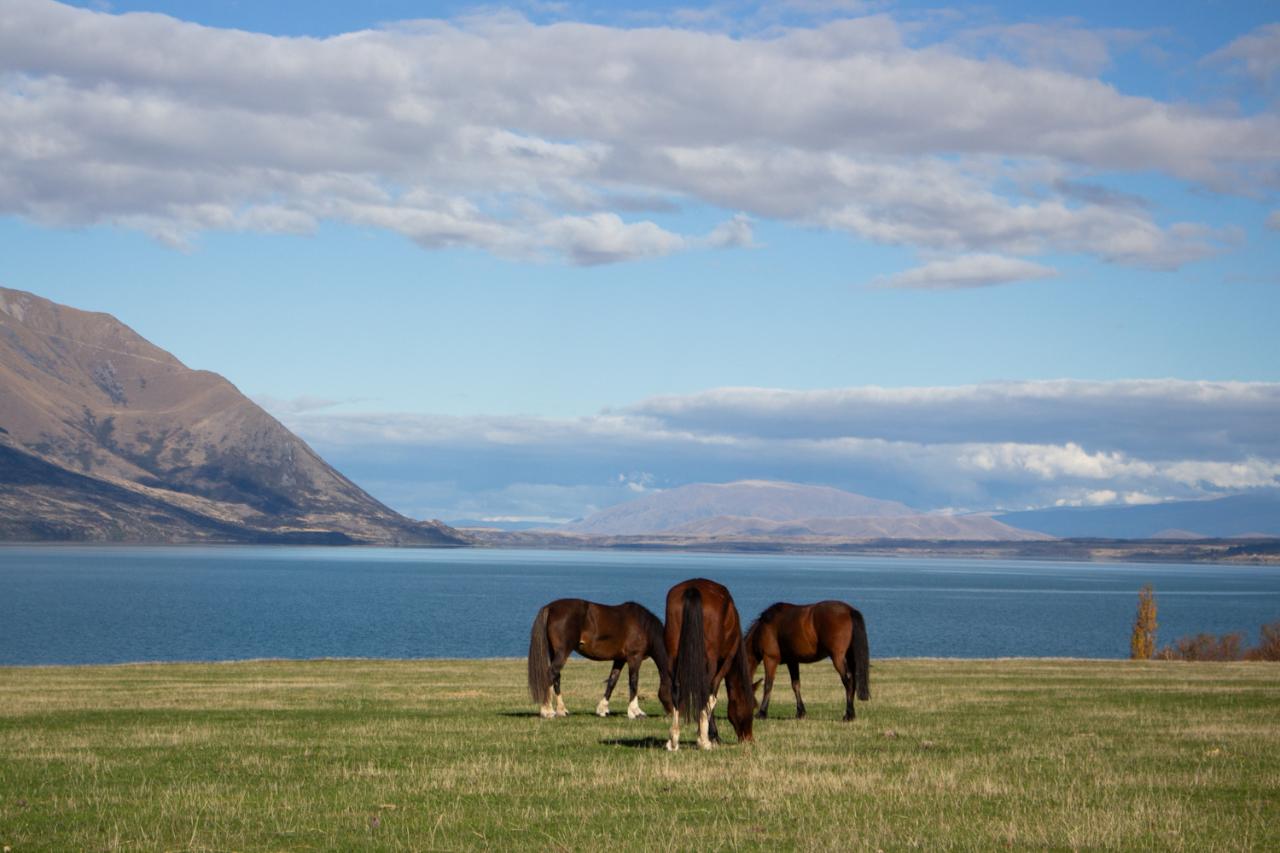 Lake Ohau Luxury Trail