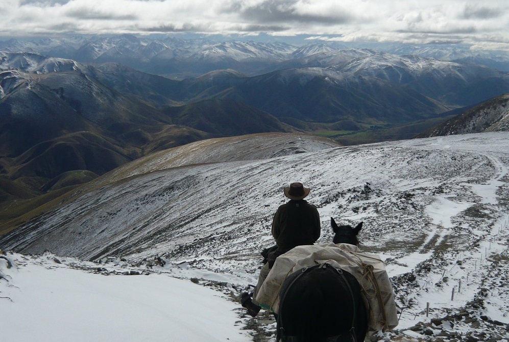 Musterers' Mountain Pack Trail