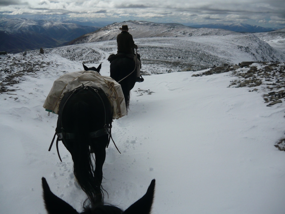 Horseback Riding Holiday, Horseback Safaris, Horseback Trail Ride St