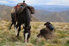 32nd Goldfields Cavalcade, "Mick O'Callaghan fully catered trail only"- Horse Hire