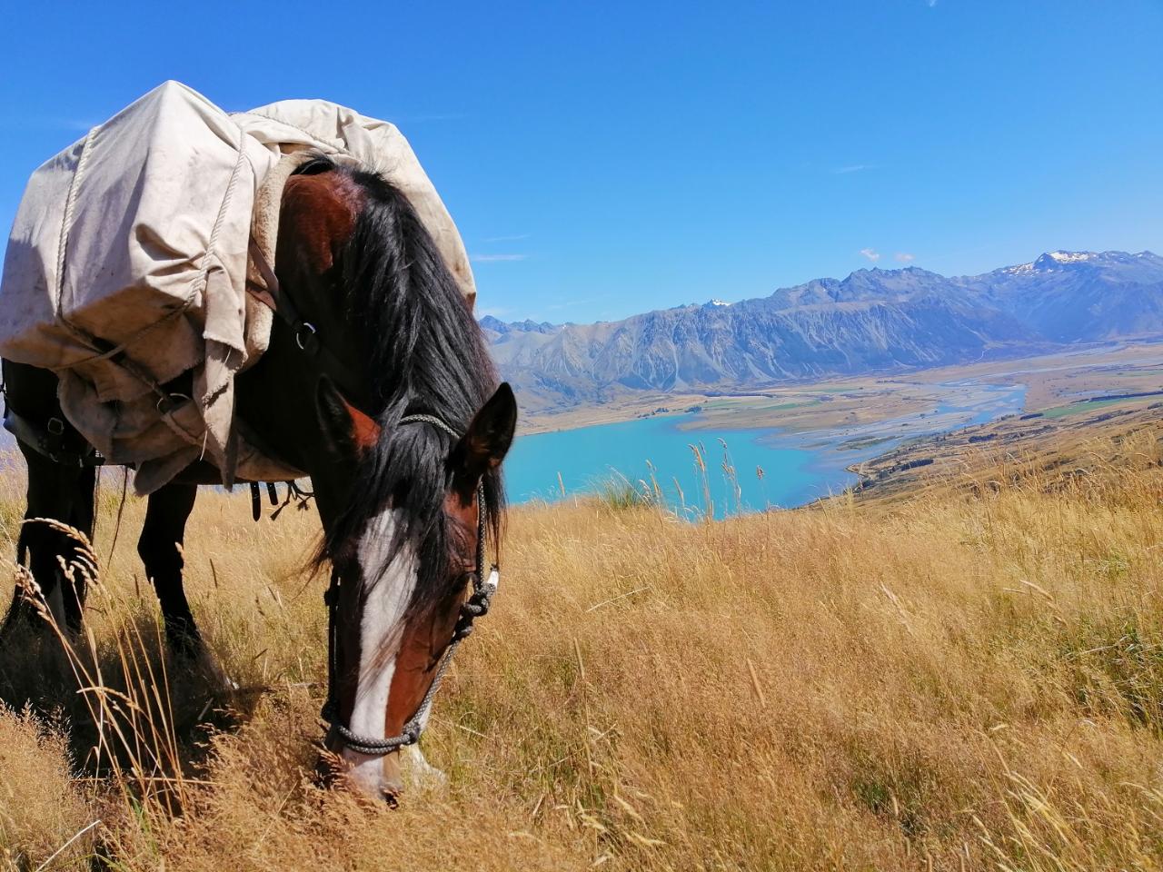 Glen Lyon Alpine Horseback Adventure 