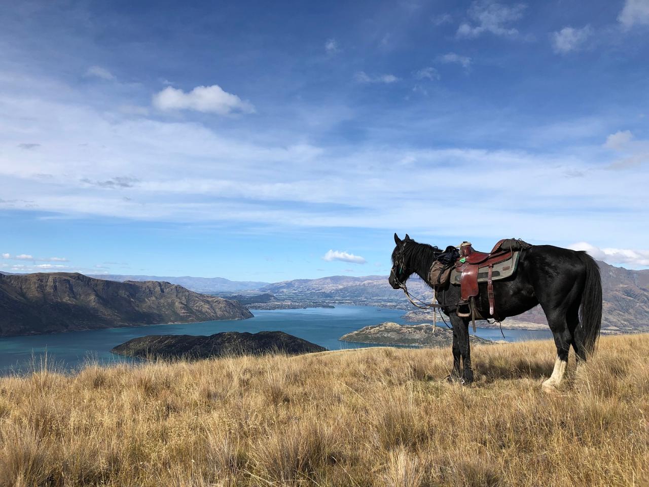 Twin Lakes Pure Kiwi Adventure