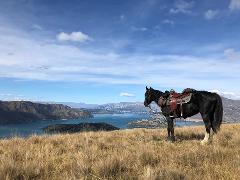 Twin Lakes Pure Kiwi Adventure