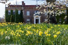 Spring at Hinton Ampner House & Garden - National Trust - Thu 19th March 2026