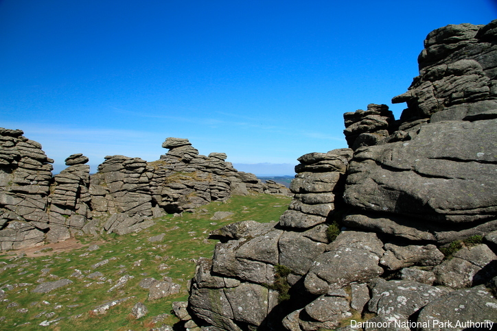 4* Moorland On Dartmoor - Mon 21st March 2022