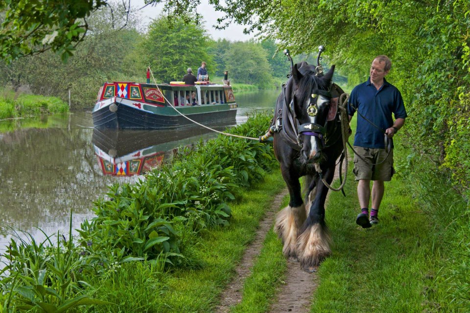 Horse Drawn Canal Boat & Marlborough - Tue 4th July 2023