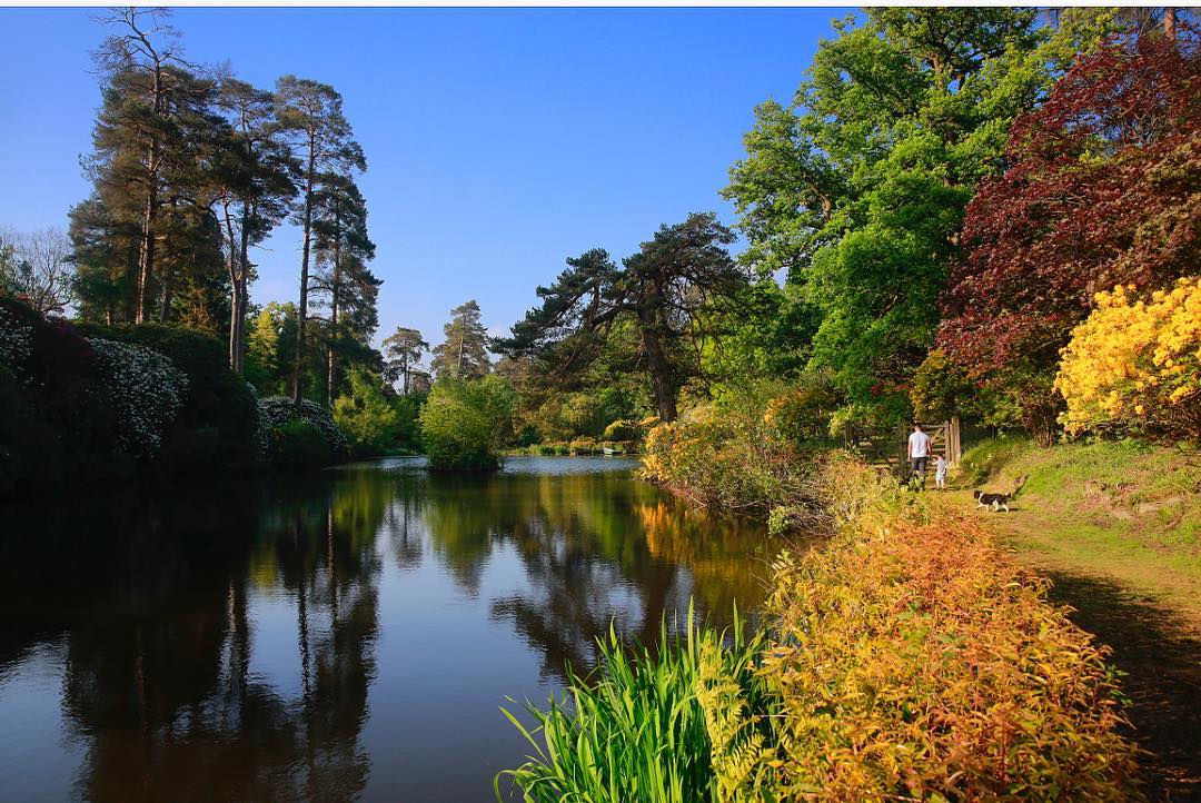 Leonardslee Gardens, West Sussex  - Fri 11th June 2021