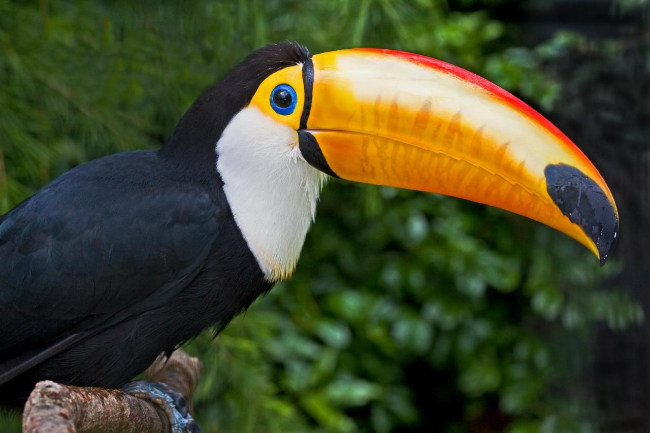 Birdworld - Surrey - Tue 20th Aug 2024