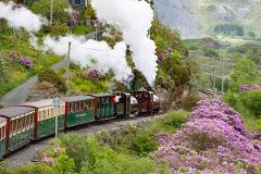 Snowdonia - Portmeirion & Ffestiniog Railway - Mon 14th July 2025