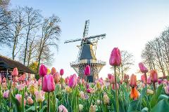 Dutch Bulbfields & Amsterdam - Fri 10th May 2024