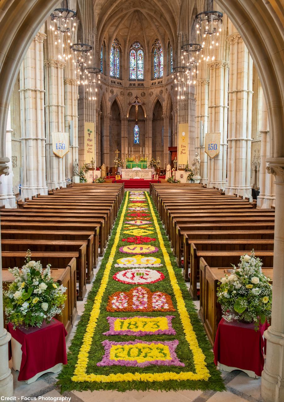Arundel - Carpet of Flowers - Wed 29th May 2024