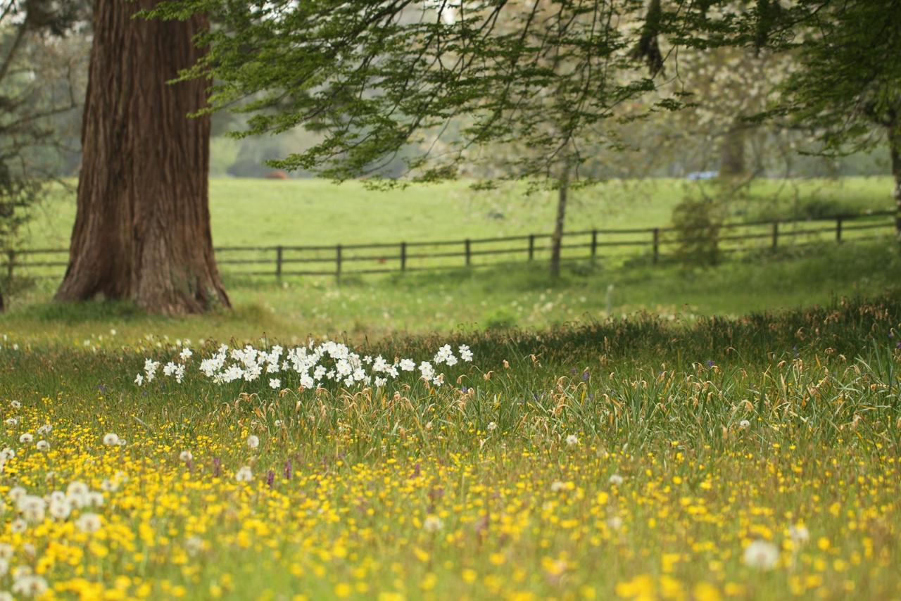 Forde Abbey & Gardens, Somerset Wed 12th June 2024 Highcliffe Coach