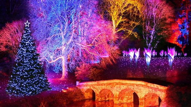 Stourhead Illuminated Light Trail - NT - Thu 10th Dec 2020
