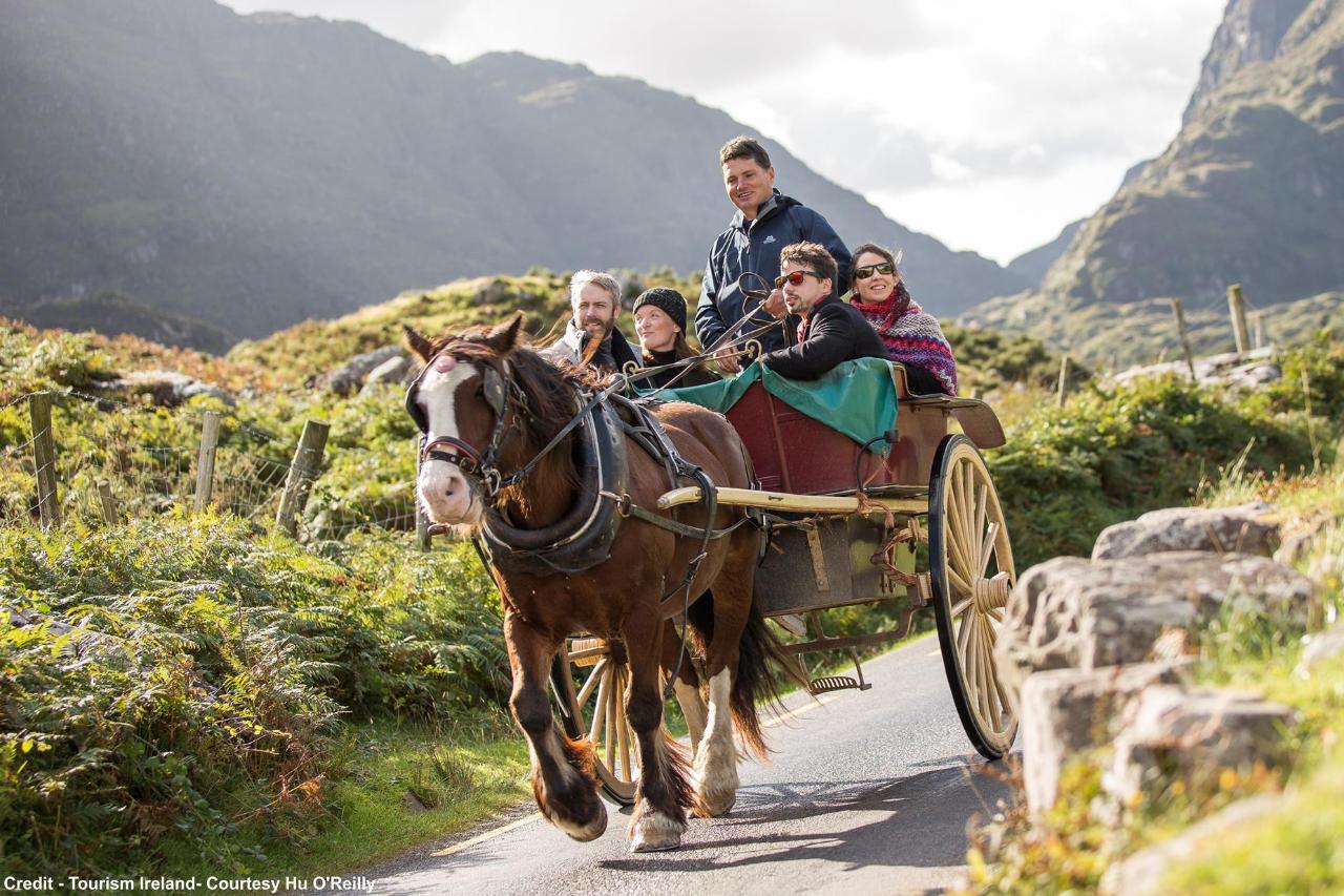 Ireland - Kingdom of Kerry - Fri 3rd May 2024 - Highcliffe Coach
