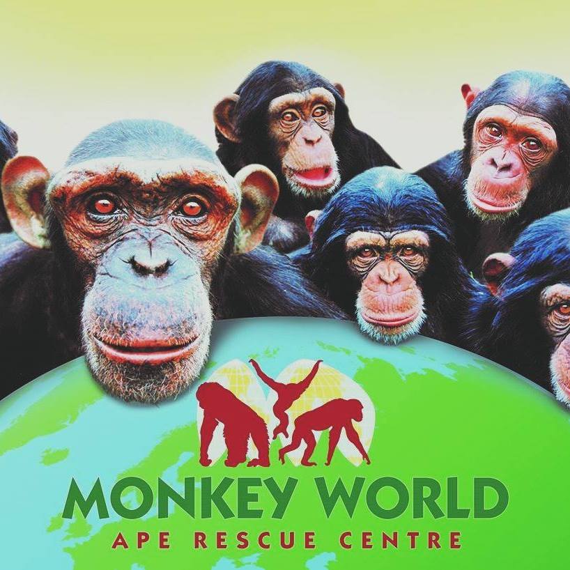 Monkey World - Mon 1st Aug 2022