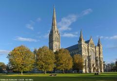 Salisbury - SUPER BARGAIN - Thu 15th May 2025