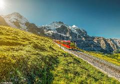 Rhine River Cruise & Summits of the Swiss Alps - Tue 1st July 2025