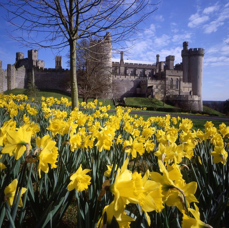 Arundel - Carpet of Flowers - Wed 30th May 2018