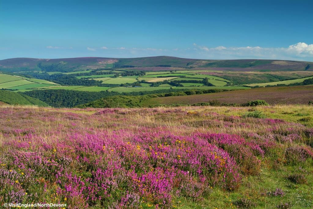 West Country - Steam Train & Canal - Wed 8th May 2019