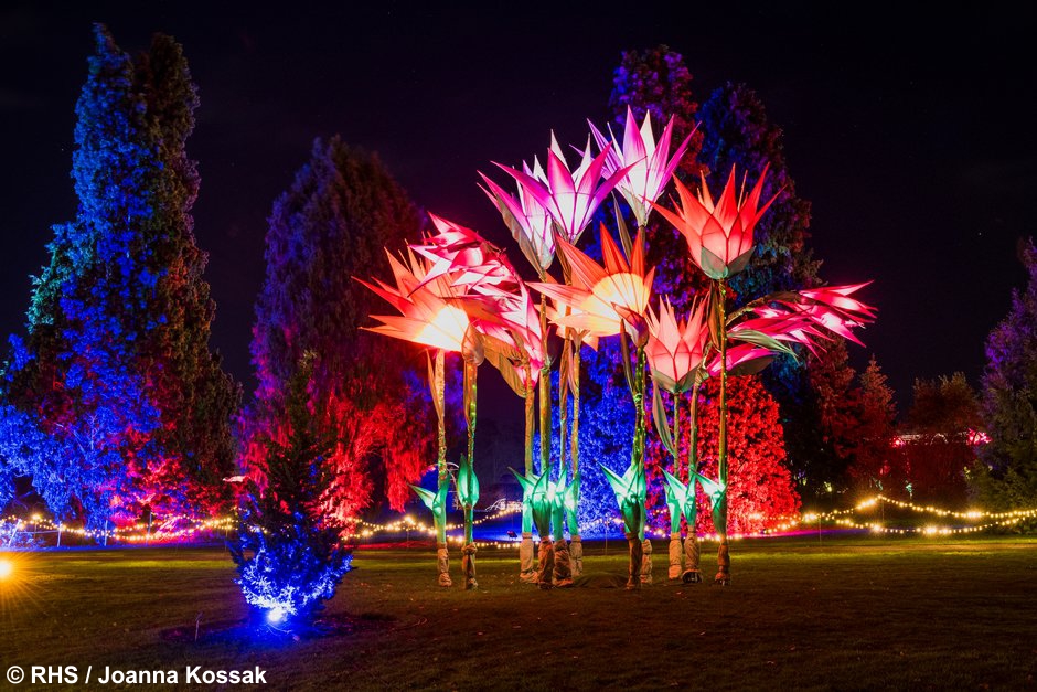 RHS Wisley Gardens Glow Illuminations Tue 13th Dec 2022 Highcliffe