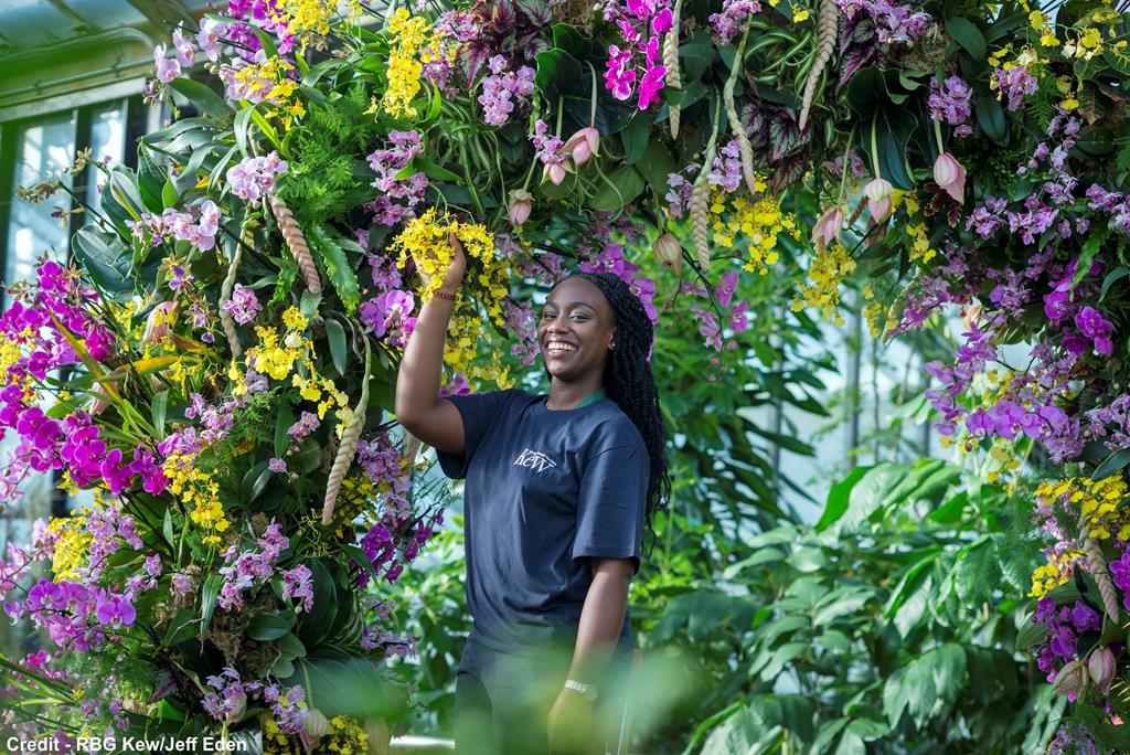 Kew Gardens Orchid Festival Tue 4th Feb 2025 Highcliffe Coach