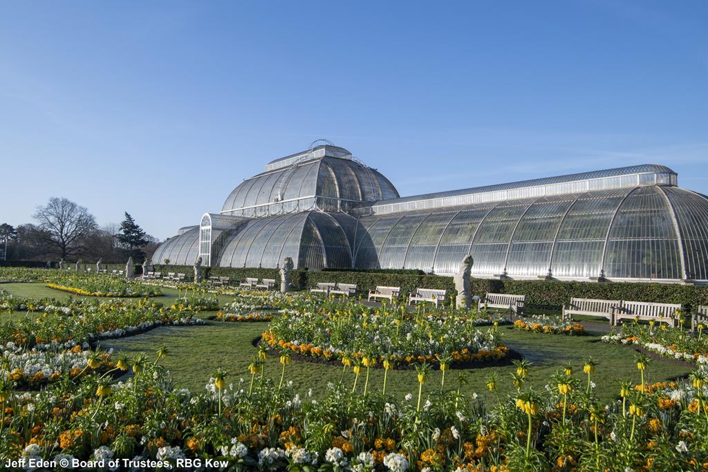 Kew Gardens - Mon 11th July 2022