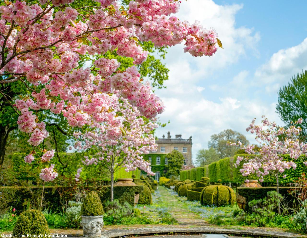 Highgrove Gardens with 2 course set lunch - Wed 17th July 2024