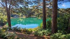 **NEW** Blue Pool Nature Reserve & Swanage - Tue 16th Sept 2025