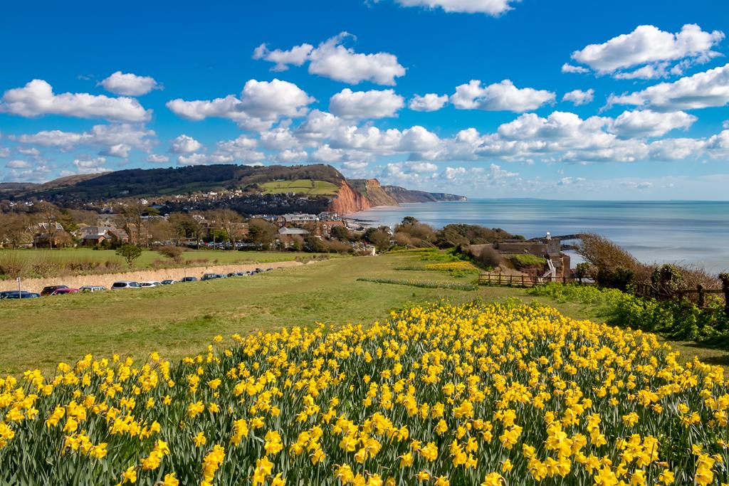 Sidmouth in Spring - Tue 4th March 2025