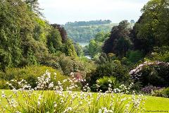 Cornwall Highlights - Trebah & St Ives - Mon 9th June 2025